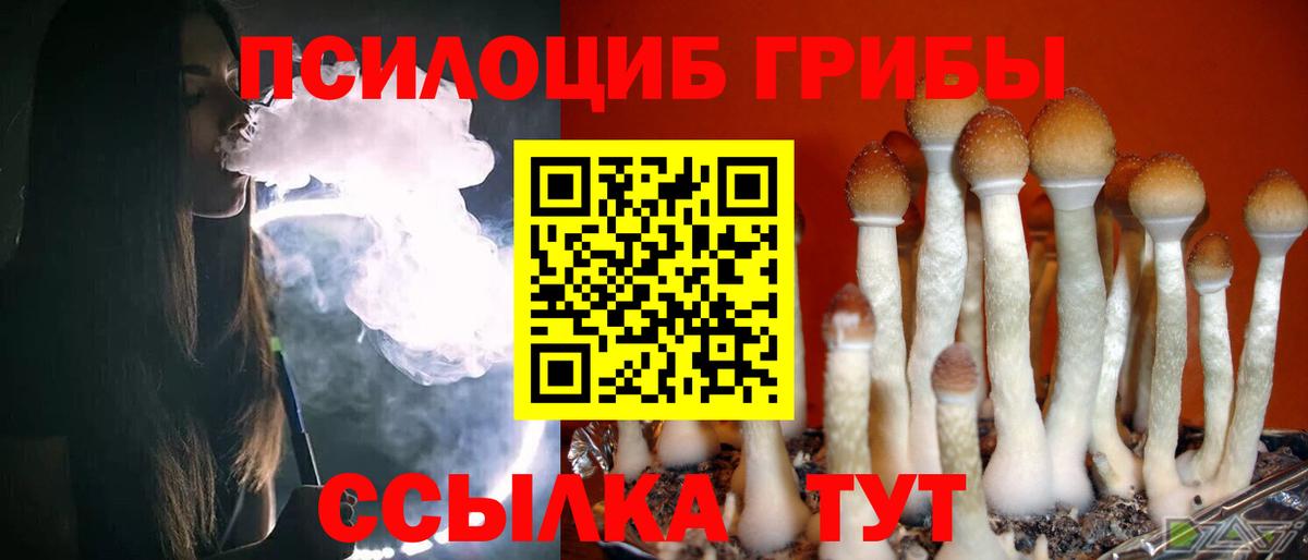 Галлюциногенные грибы мицелий  Вход с VPN  Похвистнево  Псилоцибиновые грибы MAGIC MUSHROOMS 